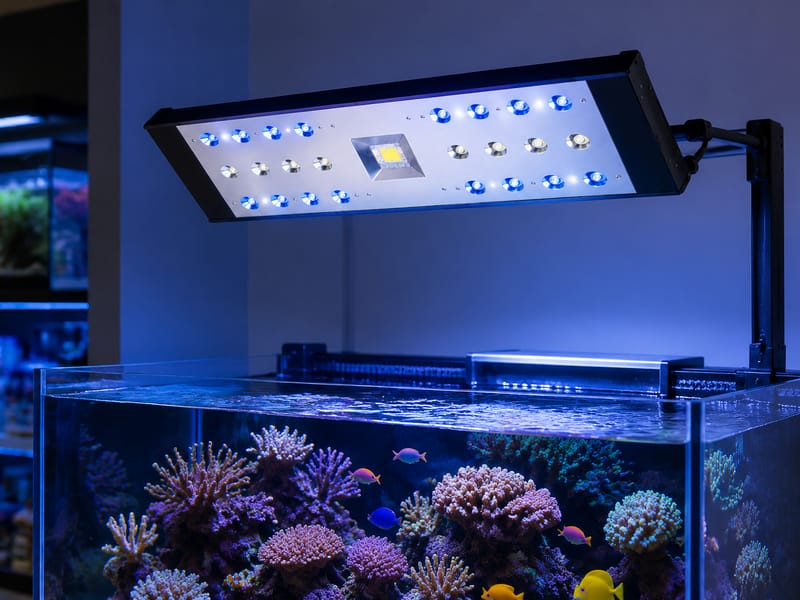 Aquarium LED Lighting Supplier: Panduan Pembelian Borong — supporting aquarium detail