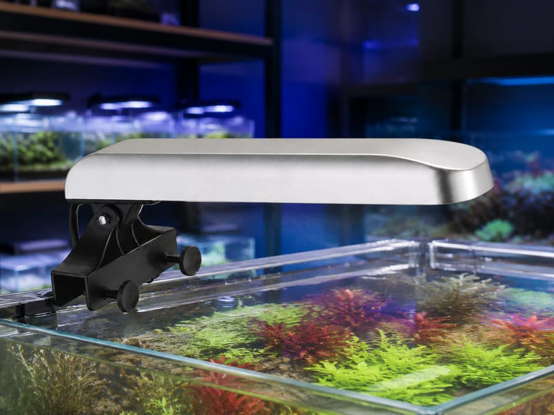 Aquarium LED Lighting Supplier: Panduan Pembelian Borong — practical setup example