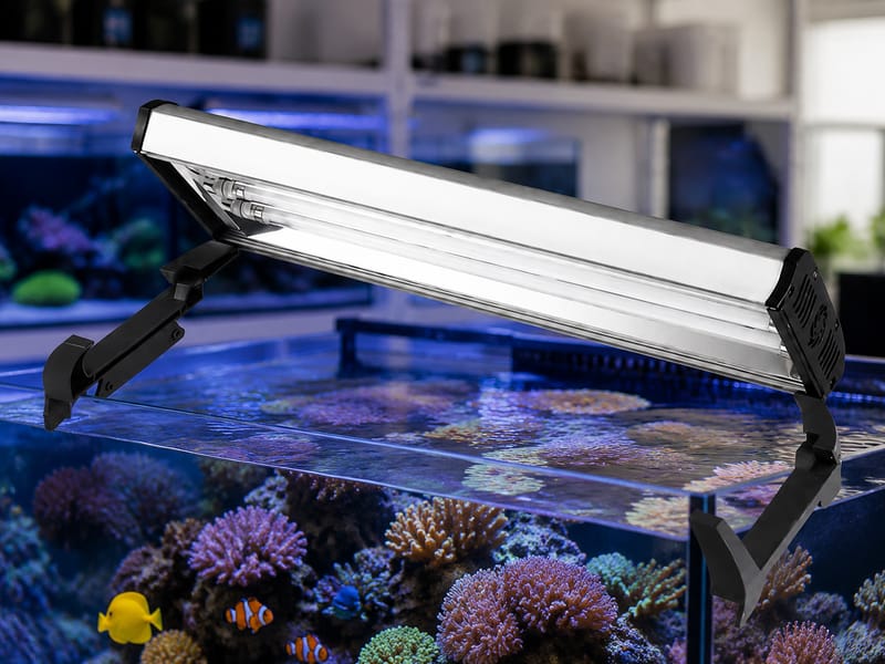 T5 HO Aquarium Lights Wholesale: Panduan Pembelian Borong: aquarium guide image 1