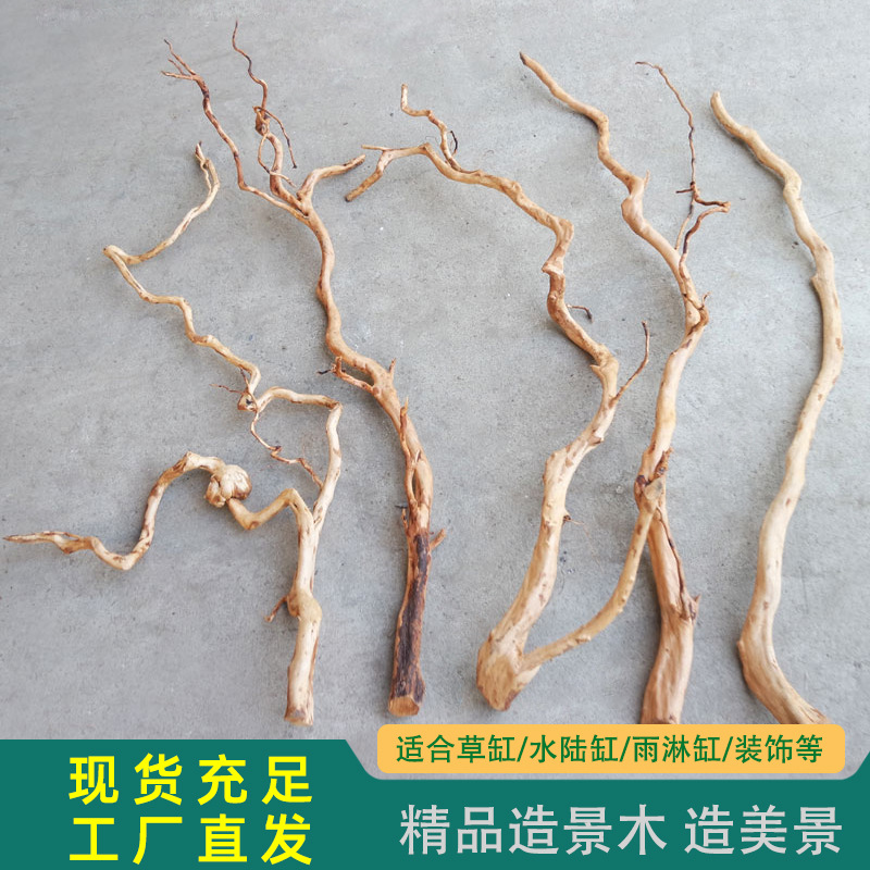 Imej terperinci Kayu Apung Azalea WK018 model WK018 12 untuk pembeli borong dan OEM hiasan Aquascaping akuarium