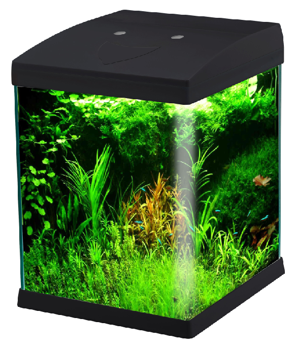 Imej prestasi Tangki Akuarium Kaca Tanpa Bingkai Mini WK072 dengan Lampu LED model WK072 untuk pengedar tangki akuarium dan pasukan sumber