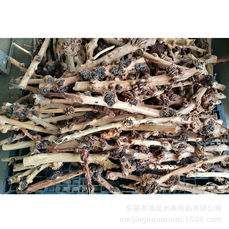 Imej terperinci 12 Hiasan Kayu Akar Semula Jadi model WK110 untuk pembeli hiasan aquascaping akuarium secara borong dan OEM